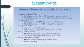 CLASSIFICATION
 