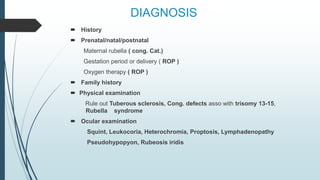 DIAGNOSIS
 History
 Prenatal/natal/postnatal
Maternal rubella ( cong. Cat.)
Gestation period or delivery ( ROP )
Oxygen therapy ( ROP )
 Family history
 Physical examination
Rule out Tuberous sclerosis, Cong. defects asso with trisomy 13-15,
Rubella syndrome
 Ocular examination
Squint, Leukocoria, Heterochromia, Proptosis, Lymphadenopathy
Pseudohypopyon, Rubeosis iridis
 