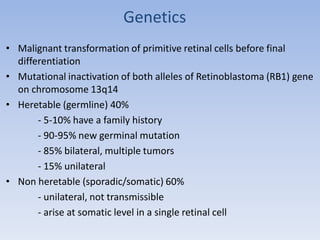 Genetics
• Malignant transformation of primitive retinal cells before final
differentiation
• Mutational inactivation of both alleles of Retinoblastoma (RB1) gene
on chromosome 13q14
• Heretable (germline) 40%
- 5-10% have a family history
- 90-95% new germinal mutation
- 85% bilateral, multiple tumors
- 15% unilateral
• Non heretable (sporadic/somatic) 60%
- unilateral, not transmissible
- arise at somatic level in a single retinal cell
 