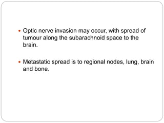  Optic nerve invasion may occur, with spread of
tumour along the subarachnoid space to the
brain.
 Metastatic spread is to regional nodes, lung, brain
and bone.
 