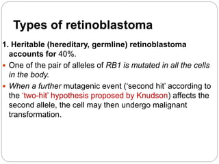 Types of retinoblastoma
1. Heritable (hereditary, germline) retinoblastoma
accounts for 40%.
 One of the pair of alleles of RB1 is mutated in all the cells
in the body.
 When a further mutagenic event (‘second hit’ according to
the ‘two-hit’ hypothesis proposed by Knudson) affects the
second allele, the cell may then undergo malignant
transformation.
 