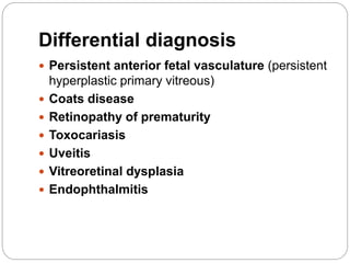 Differential diagnosis
 Persistent anterior fetal vasculature (persistent
hyperplastic primary vitreous)
 Coats disease
 Retinopathy of prematurity
 Toxocariasis
 Uveitis
 Vitreoretinal dysplasia
 Endophthalmitis
 
