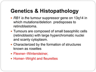 Genetics & Histopathology
 RB1 is the tumour suppressor gene on 13q14 in
which mutations/deletion predisposes to
retinoblastoma.
 Tumours are composed of small basophilic cells
(retinoblasts) with large hyperchromatic nuclei
and scanty cytoplasm.
 Characterized by the formation of structures
known as rosettes
 Flexner–Wintersteiner,
 Homer–Wright and fleurettes
 