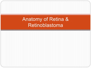 Anatomy of Retina &
Retinoblastoma
 