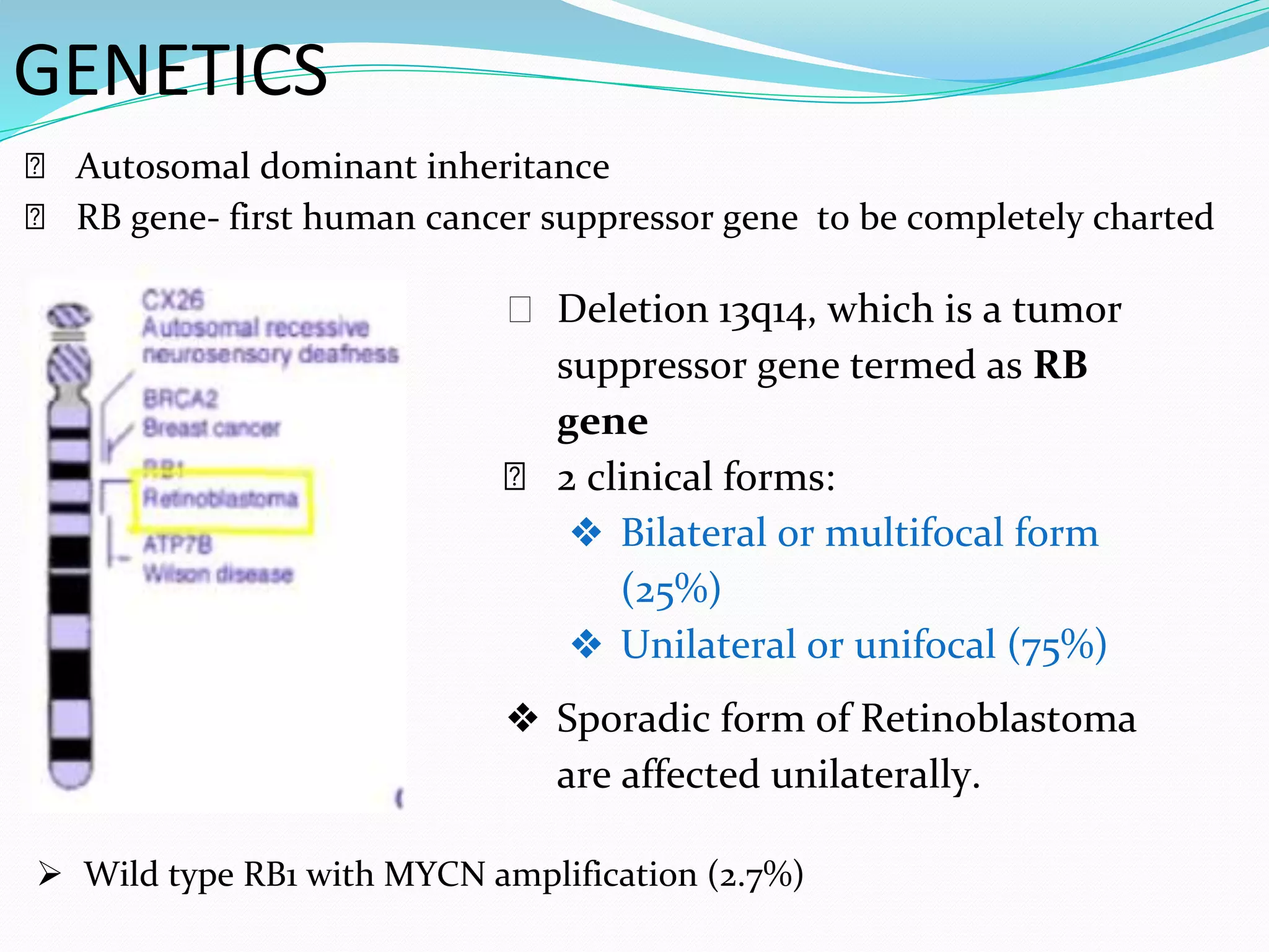 Rb1 Retinoblastoma .pptx