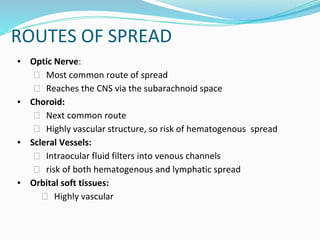 ROUTES OF SPREAD
▪ Optic Nerve:
⮚ Most common route of spread
⮚ Reaches the CNS via the subarachnoid space
▪ Choroid:
⮚ Next common route
⮚ Highly vascular structure, so risk of hematogenous spread
▪ Scleral Vessels:
⮚ Intraocular fluid filters into venous channels
⮚ risk of both hematogenous and lymphatic spread
▪ Orbital soft tissues:
⮚ Highly vascular
 