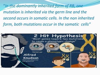 “In the dominantly inherited form of RB, one
mutation is inherited via the germ line and the
second occurs in somatic cells. In the non inherited
form, both mutations occur in the somatic cells”
 