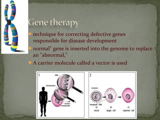 technique for correcting defective genes
responsible for disease development
normal" gene is inserted into the genome to replace
an "abnormal,"
A carrier molecule called a vector is used
 