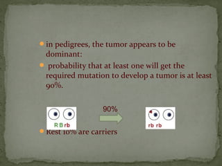 in pedigrees, the tumor appears to be
dominant:
 probability that at least one will get the
required mutation to develop a tumor is at least
90%.
Rest 10% are carriers
90%
 