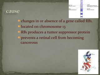 changes in or absence of a gene called RB1.
located on chromosome 13
RB1 produces a tumor suppressor protein
prevents a retinal cell from becoming
cancerous
 