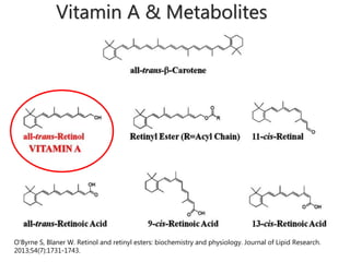 Vitamin A & Metabolites
O'Byrne S, Blaner W. Retinol and retinyl esters: biochemistry and physiology. Journal of Lipid Research.
2013;54(7):1731-1743.
 