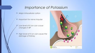  Major intracellular cation
 Important for nerve impulse
 Low level of K ion can cause
changes in BP
 High level of K ion can cause the
damage of Kidney
Importance of Potassium
 