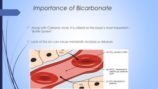  Along with Carbonic Acid, it is utilized as the body’s most important –
‘Buffer System’
 Lack of this ion can cause metabolic Acidosis or Alkalosis
Importance of Bicarbonate
 