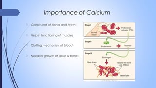  Constituent of bones and teeth
 Help in functioning of muscles
 Clotting mechanism of blood
 Need for growth of tissue & bones
Importance of Calcium
 