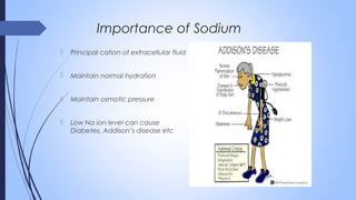  Principal cation of extracellular fluid
 Maintain normal hydration
 Maintain osmotic pressure
 Low Na ion level can cause
Diabetes, Addison’s disease etc
Importance of Sodium
 