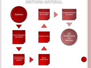 Diabetes 
Anormalidades 
vasculares 
Aumento de la 
permeabilidad 
retiniana 
Hemorragias 
en el vitreo 
Isquemia: Neov. 
RD no 
proliferativa 
Desprendimiento 
de retina 
RD 
Proliferativa 
con 
traccion 
 