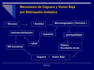 MR Cano  ↑  Glucosa ↑  Sorbitol Microangiopatia (↓Pericitos )   ↑  permeabilidad ↑ Edema ↑ Exudados duros ↑  isquemia ↑  VEGF neovascularizacion Ceguera  /  Visión Baja DR traccional Mecanismo de Ceguera y Vision Baja  por Retinopat í a diabetica 