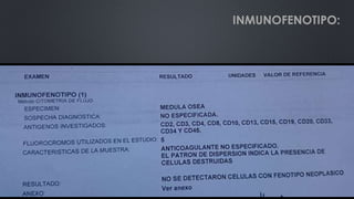 INMUNOFENOTIPO:
 