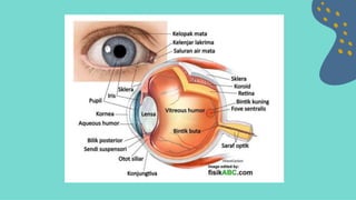 Retinopati diabetik