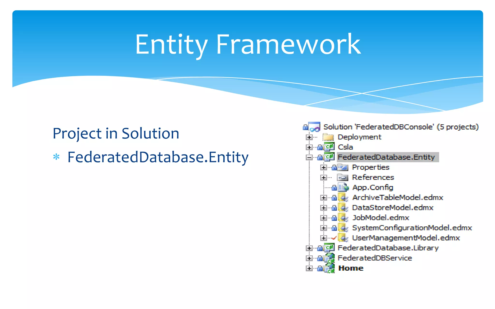 Project in SolutionFederatedDatabase.EntityEntity Framework