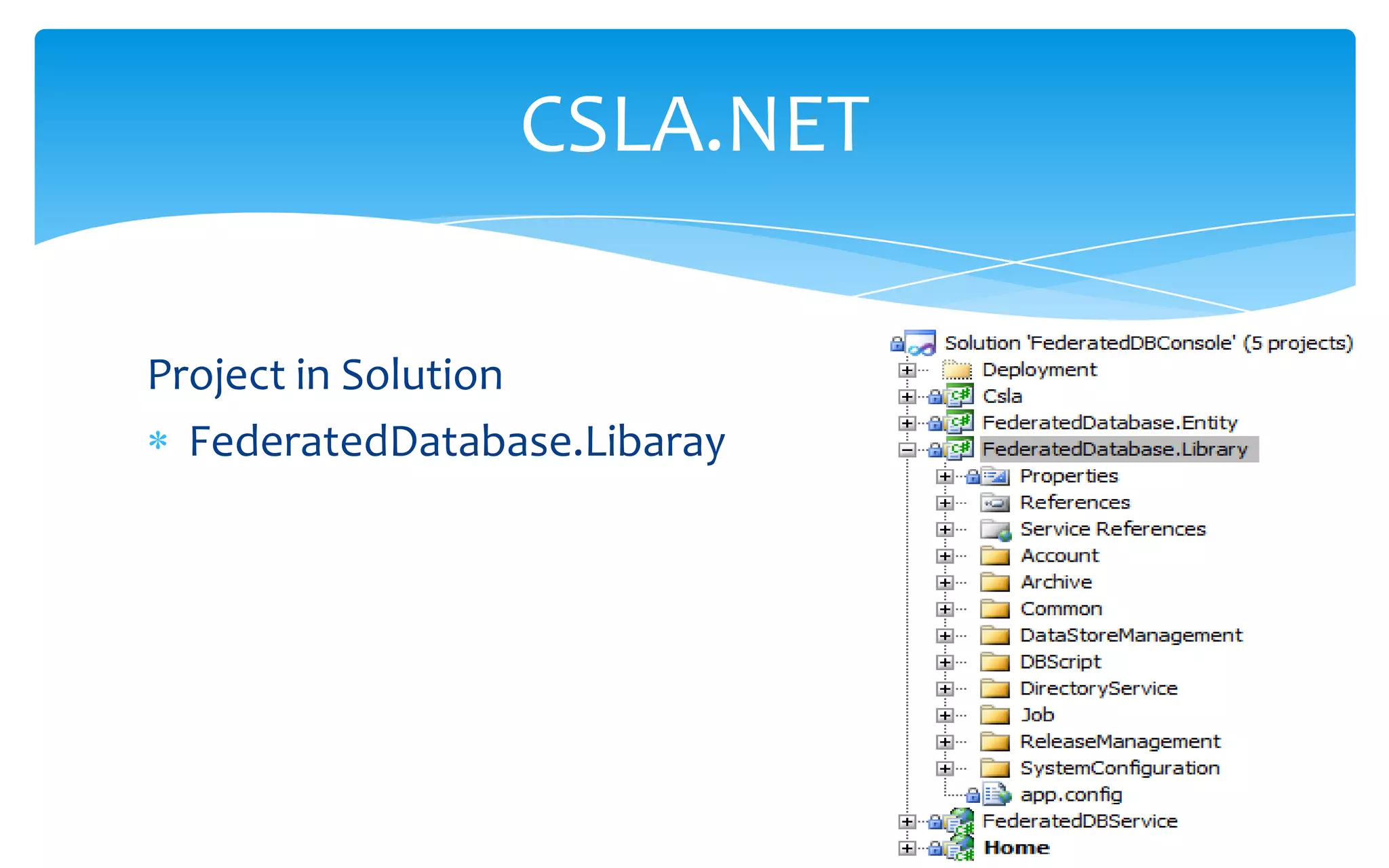 Project in SolutionFederatedDatabase.LibarayCSLA.NET