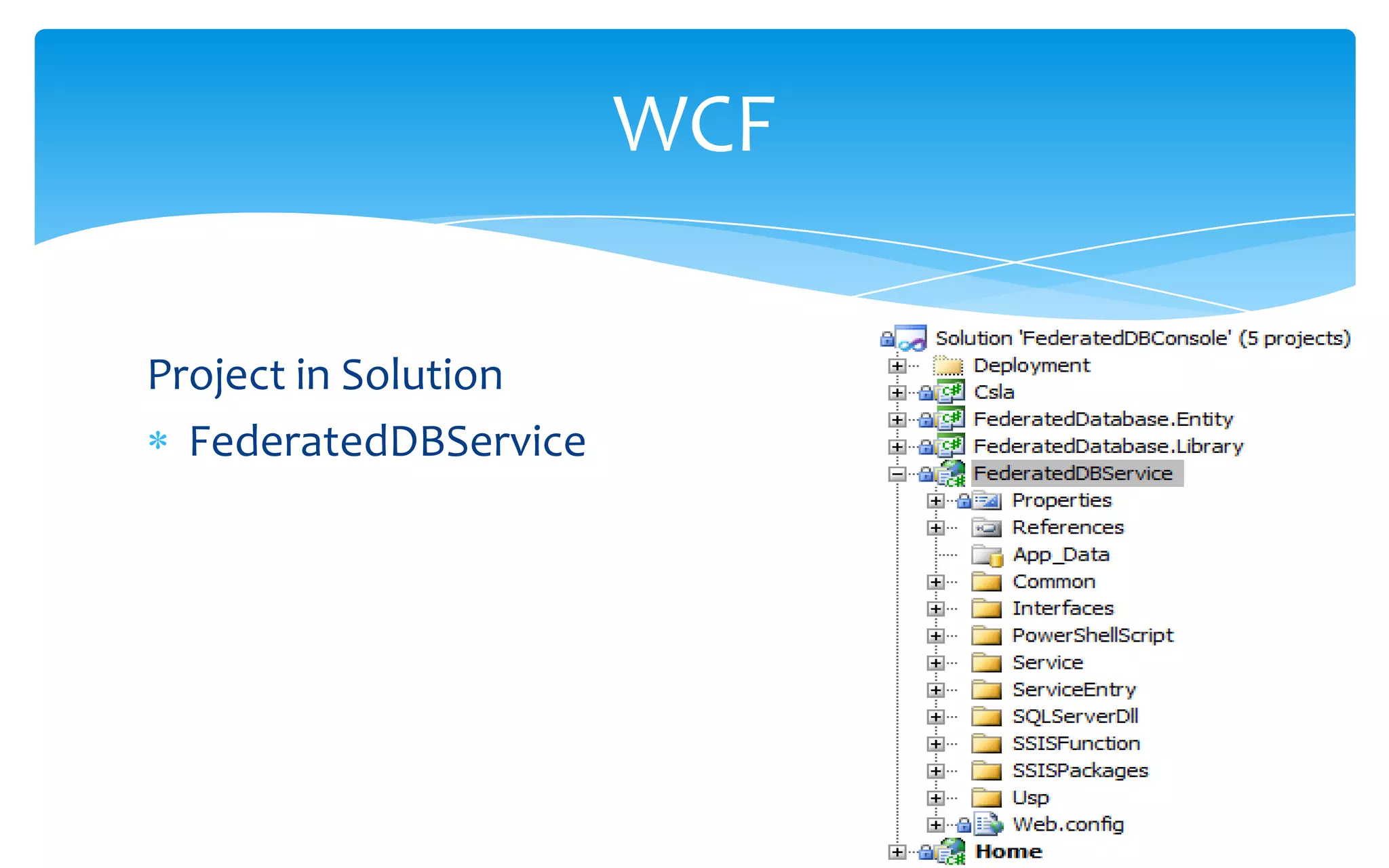 Project in SolutionFederatedDBServiceWCF