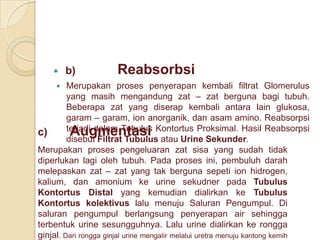     b)           Reabsorbsi
        Merupakan proses penyerapan kembali filtrat Glomerulus
         yang masih mengandung zat – zat berguna bagi tubuh.
         Beberapa zat yang diserap kembali antara lain glukosa,
         garam – garam, ion anorganik, dan asam amino. Reabsorpsi
c)       terjadi dalam Tubulus Kontortus Proksimal. Hasil Reabsorpsi
          Augmentasi
         disebut Filtrat Tubulus atau Urine Sekunder.
Merupakan proses pengeluaran zat sisa yang sudah tidak
diperlukan lagi oleh tubuh. Pada proses ini, pembuluh darah
melepaskan zat – zat yang tak berguna sepeti ion hidrogen,
kalium, dan amonium ke urine sekudner pada Tubulus
Kontortus Distal yang kemudian dialirkan ke Tubulus
Kontortus kolektivus lalu menuju Saluran Pengumpul. Di
saluran pengumpul berlangsung penyerapan air sehingga
terbentuk urine sesungguhnya. Lalu urine dialirkan ke rongga
ginjal. Dari rongga ginjal urine mengalir melalui uretra menuju kantong kemih
 
