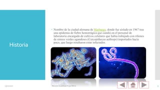 Historia
 Nombre de la ciudad alemana de Marburgo, donde fue aislado en 1967 tras
una epidemia de fiebre hemorrágica que cundió en el personal de
laboratorio encargado de cultivos celulares que había trabajado con riñones
de simios verdes ugandeses (Cercopithecus aethiops) importados hacía
poco, que luego resultaron estar infectados.
23/11/2020 Mariana Guadalupe Rojas Mena 3
 