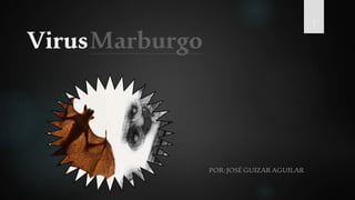 VirusMarburgo
POR:JOSÉGUIZARAGUILAR
1
 