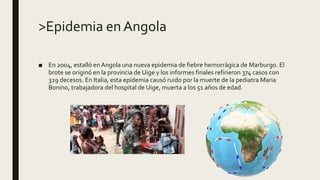 >Epidemia en Angola
■ En 2004, estalló enAngola una nueva epidemia de fiebre hemorrágica de Marburgo. El
brote se originó en la provincia de Uige y los informes finales refirieron 374 casos con
329 decesos. En Italia, esta epidemia causó ruido por la muerte de la pediatra Maria
Bonino, trabajadora del hospital de Uige, muerta a los 51 años de edad.
 