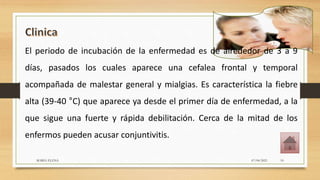 El periodo de incubación de la enfermedad es de alrededor de 3 a 9
días, pasados los cuales aparece una cefalea frontal y temporal
acompañada de malestar general y mialgias. Es característica la fiebre
alta (39-40 °C) que aparece ya desde el primer día de enfermedad, a la
que sigue una fuerte y rápida debilitación. Cerca de la mitad de los
enfermos pueden acusar conjuntivitis.
07/04/2021
MARIA ELENA 10
 