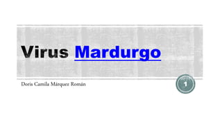 Mardurgo
Doris Camila Márquez Román 1
 