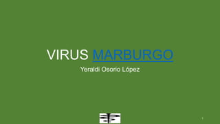 VIRUS MARBURGO
Yeraldi Osorio López
1
 