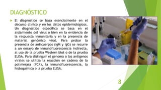 DIAGNÓSTICO
 El diagnóstico se basa esencialmente en el
decurso clínico y en los datos epidemiológicos.
Un diagnóstico específico se basa en el
aislamiento del virus o bien en la evidencia de
la respuesta inmunitaria y en la presencia de
material genómico viral. Para probar la
presencia de anticuerpos (IgM y IgG) se recurre
a un ensayo de inmunofluorescencia indirecta,
al uso de la prueba Western blot o de la prueba
ELISA. Para distinguir el genoma o los antígenos
virales se utiliza la reacción en cadena de la
polimerasa (PCR), la inmunofluorescencia, la
histoquímica o la prueba ELISA.
8
 