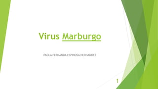 Virus Marburgo
PAOLA FERNANDA ESPINOSA HERNANDEZ
1
 