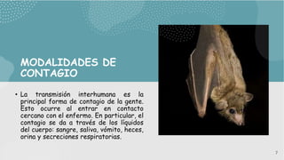 MODALIDADES DE
CONTAGIO
• La transmisión interhumana es la
principal forma de contagio de la gente.
Esto ocurre al entrar en contacto
cercano con el enfermo. En particular, el
contagio se da a través de los líquidos
del cuerpo: sangre, saliva, vómito, heces,
orina y secreciones respiratorias.
7
 