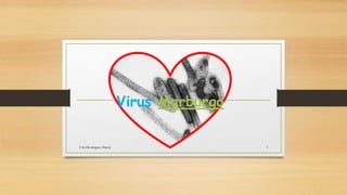 Virus Marburgo
1
Uriel Rodriguez Ibarra
 