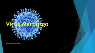 Virus Marburgo
Jorge Paz Torales
1
 