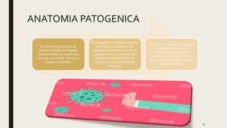 ANATOMIA PATOGENICA
Es común la presencia de
necrosis focales de hígado,
nódulos linfáticos, testículos,
ovarios, pulmones, riñones y
órganos linfoides.
En el hígado se localizan cuerpos
eosinófilos (similares a los
cuerpos de Councilman) y en el
pulmón se notan indicios de
pulmonitis intersticial y de
endoarteritis de las arterias
pequeñas.
La necrosis focal de los órganos
linfoides es bastante
característica, mientras que la
necrosis tubular renal ocurre
sobre todo en las últimas fases
de enfermedad.
8
 