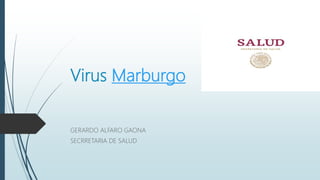 Virus Marburgo
GERARDO ALFARO GAONA
SECRRETARIA DE SALUD
 