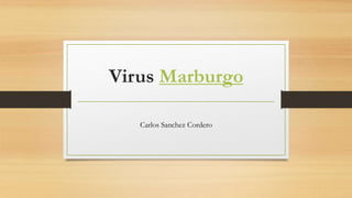 Virus Marburgo
Carlos Sanchez Cordero
 