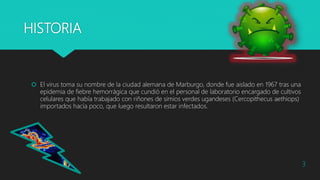 HISTORIA
 El virus toma su nombre de la ciudad alemana de Marburgo, donde fue aislado en 1967 tras una
epidemia de fiebre hemorrágica que cundió en el personal de laboratorio encargado de cultivos
celulares que había trabajado con riñones de simios verdes ugandeses (Cercopithecus aethiops)
importados hacía poco, que luego resultaron estar infectados.
3
 