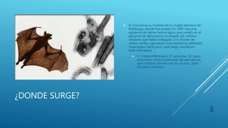 ¿DONDE SURGE?
 El virus toma su nombre de la ciudad alemana de
Marburgo, donde fue aislado en 1967 tras una
epidemia de fiebre hemorrágica que cundió en el
personal de laboratorio encargado de cultivos
celulares que había trabajado con riñones de
simios verdes ugandeses (Cercopithecus aethiops)
importados hacía poco, que luego resultaron
estar infectados.
 E n total enfermaron 37 personas. 25 casos
ocurrieron entre el personal del laboratorio,
por contacto directo con los monos. Siete
de estos murieron.
3
 