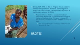 BROTES
 Entre 2004-2005 se dio en Angola el que acabaría
siendo el mayor brote de fiebre hemorrágica de
Marburgo de la historia. Se originó en la provincia
de Uige en octubre de 2004.
 Tras identificarse el último caso confirmado en
laboratorio, en julio de 2005, el Ministerio de Salud
había notificado en total 374 casos, incluidas 329
defunciones (tasa de mortalidad del 88%) en todo el
país.
 368 casos (incluidas 323 muertes) se notificaron en la
provincia de Uige.
5
 