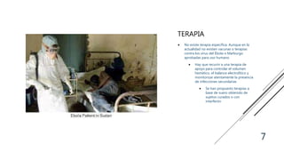 TERAPIA
 No existe terapia específica. Aunque en la
actualidad no existen vacunas o terapias
contra los virus del Ébola o Marburgo
aprobadas para uso humano
 Hay que recurrir a una terapia de
apoyo para controlar el volumen
hemático, el balance electrolítico y
monitorizar atentamente la presencia
de infecciones secundarias
 Se han propuesto terapias a
base de suero obtenido de
sujetos curados o con
interferón
7
 
