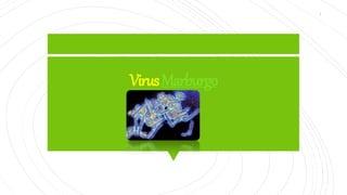 VirusMarburgo
1
 