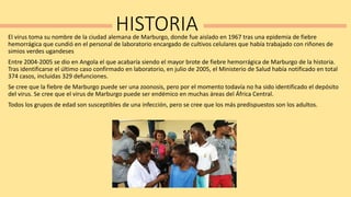 HISTORIAEl virus toma su nombre de la ciudad alemana de Marburgo, donde fue aislado en 1967 tras una epidemia de fiebre
hemorrágica que cundió en el personal de laboratorio encargado de cultivos celulares que había trabajado con riñones de
simios verdes ugandeses
Entre 2004-2005 se dio en Angola el que acabaría siendo el mayor brote de fiebre hemorrágica de Marburgo de la historia.
Tras identificarse el último caso confirmado en laboratorio, en julio de 2005, el Ministerio de Salud había notificado en total
374 casos, incluidas 329 defunciones.
Se cree que la fiebre de Marburgo puede ser una zoonosis, pero por el momento todavía no ha sido identificado el depósito
del virus. Se cree que el virus de Marburgo puede ser endémico en muchas áreas del África Central.
Todos los grupos de edad son susceptibles de una infección, pero se cree que los más predispuestos son los adultos.
 