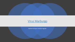 Virus Marburgo
Gabriel Enrique Jiménez Agudín
 
