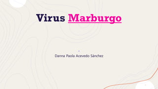 Virus Marburgo
Danna Paola Acevedo Sánchez
1
 
