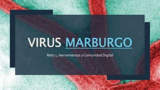 VIRUS MARBURGO
Reto 1. Herramientas y Comunidad Digital
1
 